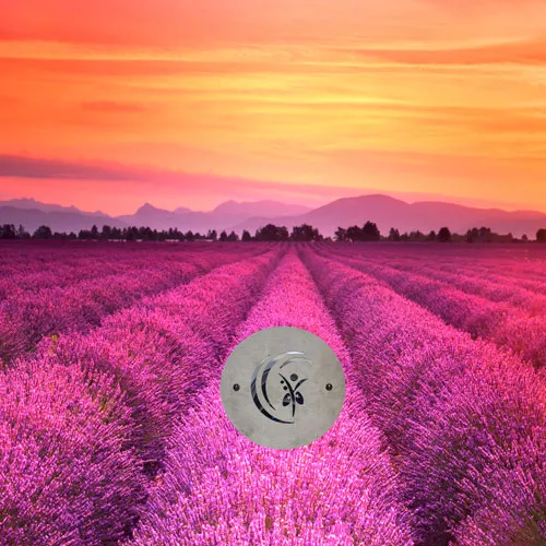Kabine Provence im SalzKRAFTwerk Linz – entspannte Salzlufttherapie